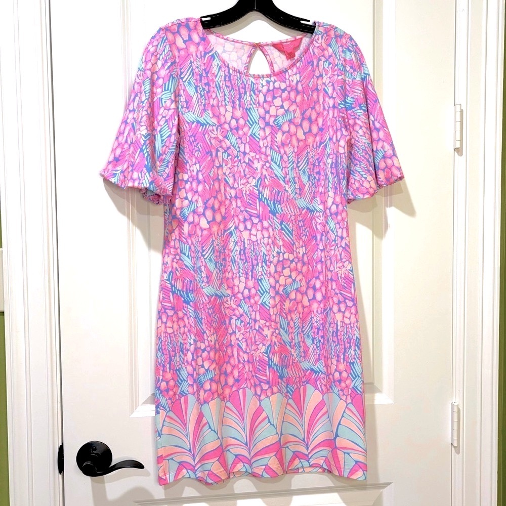 Lilly Pulitzer Britton Balloon Sleeve Dress High Altitude Engineered Sma…